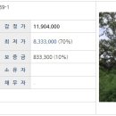 소길종합운동장 Daum카페