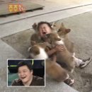 고유헤어 - 강남구 도곡로51길 4 | 고유헤어