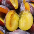 정월대보름 맞이 건강한 한끼 나물밥상 만들기 | 오곡밥 만드는 법, 대보름 풍습, 건강 식단