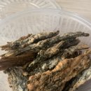 돼지영농후계자(초전점) 이미지