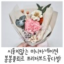 시들지않는 미니카네이션, 봉봉플뢰르 프리저브드 카네이션 부모님선물로 추천해요~