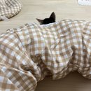 수성최씨 시조묘 | 추석 일기