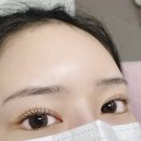아르미속눈썹 네이버블로그