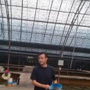 대봉엘에프영어조합법인 이미지