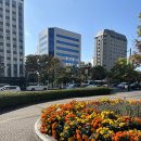 150045 | 일본/히로시마 여행] 거의 1년 늦은 히로시마 3박 4일 혼자 여행 후기 (1) (항공권/호텔/패스권 경비 포함)