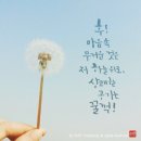 토닥토닥 이미지
