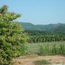 영정농장 이미지