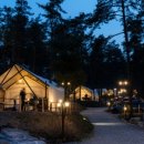 블랙트리하우스 이미지