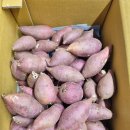 태기농장 이미지