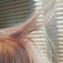젠틀핑크 이미지