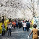 중랑천 제4체육공원 이미지