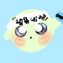 쌍방울애견 이미지