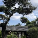 보성프라스틱 | _보성 카페_22개월아기랑 한옥카페 오늘 다녀온 “춘운서옥” 동굴카페