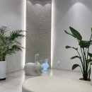 스마일리소아치과의원 이미지