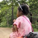 목상동 솔밭길 이미지