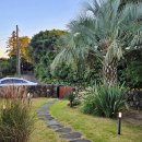 더 플로트 앳 송당 | 제주 독채 펜션 발리 감성 풀빌라 구좌읍 더 플로트 앳 송당