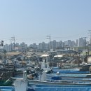 용꿈 | 명지동 회 용꿈회포장센터 도다리회 개불 먹고온 후기