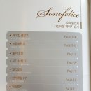 262-2-000005 | 강원도 : 홍천 여행 : 오션 월드_실외 라커 / 대명리조트 소노펠리체_로얄 스위트 프레지덴셜