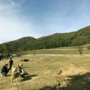 진원목장 이미지