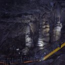 신사역 5번출구 앞 횡단보도 이미지