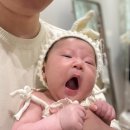 메가커피 아산탕정점 | [마틴스쇼룸 아산탕정점]분위기깡패 마틴스쇼룸 백일 사진 후기🤎🧸