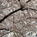 카페12월32일 이미지