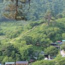심심산골 이미지