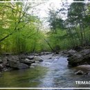 (주)파란고래 이미지