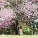 초원꽃집 이미지