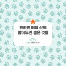 스텔라동물의료센터 이미지