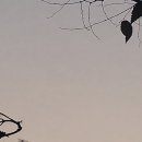 Yoon 정기연주회 이미지