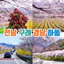 전남 구례 벚꽃축제 섬진강 벚꽃길 경남 하동 화개장터 벚꽃축제 십리벚꽃길 이미지