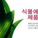 **프랑스 스킨케어 NO.1 브랜드 클라란스 직원모집** 이미지