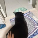 씨유 하남스마트점 | 명일 크로스핏 3대 측정 그리고 하남 요가 욕심많은 운동쟁이 하루~