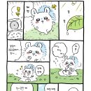 모몽가