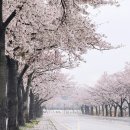 위로 이미지