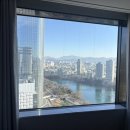 뉴 호수풍경 | [잠실호텔추천] 롯데호텔 월드 석촌호수뷰 호캉스 후기(라세느 디너&amp; 조식 후기)