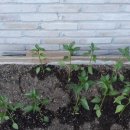 솔빛 2농장 이미지