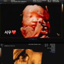 서우세탁 이미지