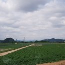 신흥1리마을회관 이미지