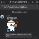 [디아도라 CDT 5기 : 정규반] 참가 신청 및 합격 후 사전 준비 후기(라켓, 테니스화 대여 등)