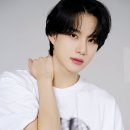 슬로우아일랜드 이미지