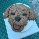 강아지잔칫집 이미지