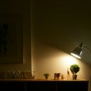 제이비바이오 이미지