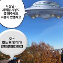 행정타운로 이미지