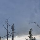 [몽골] 약수터 체험 이미지