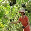 윤순옥 농장 이미지