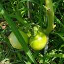 뉴캐슬공인중개사사무소 이미지