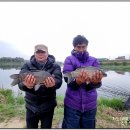 나주 장등지(퍼온글)