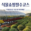 연철2농장 | 용인남사화훼단지 식물쇼핑 필수코스 안개종묘농장 &amp; 가을국화 할인판매 소식